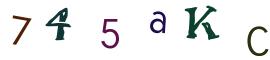 Image CAPTCHA