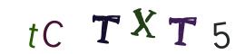Image CAPTCHA