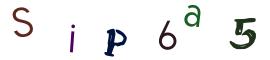 Image CAPTCHA
