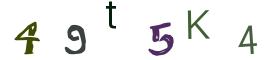 Image CAPTCHA