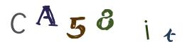 Image CAPTCHA