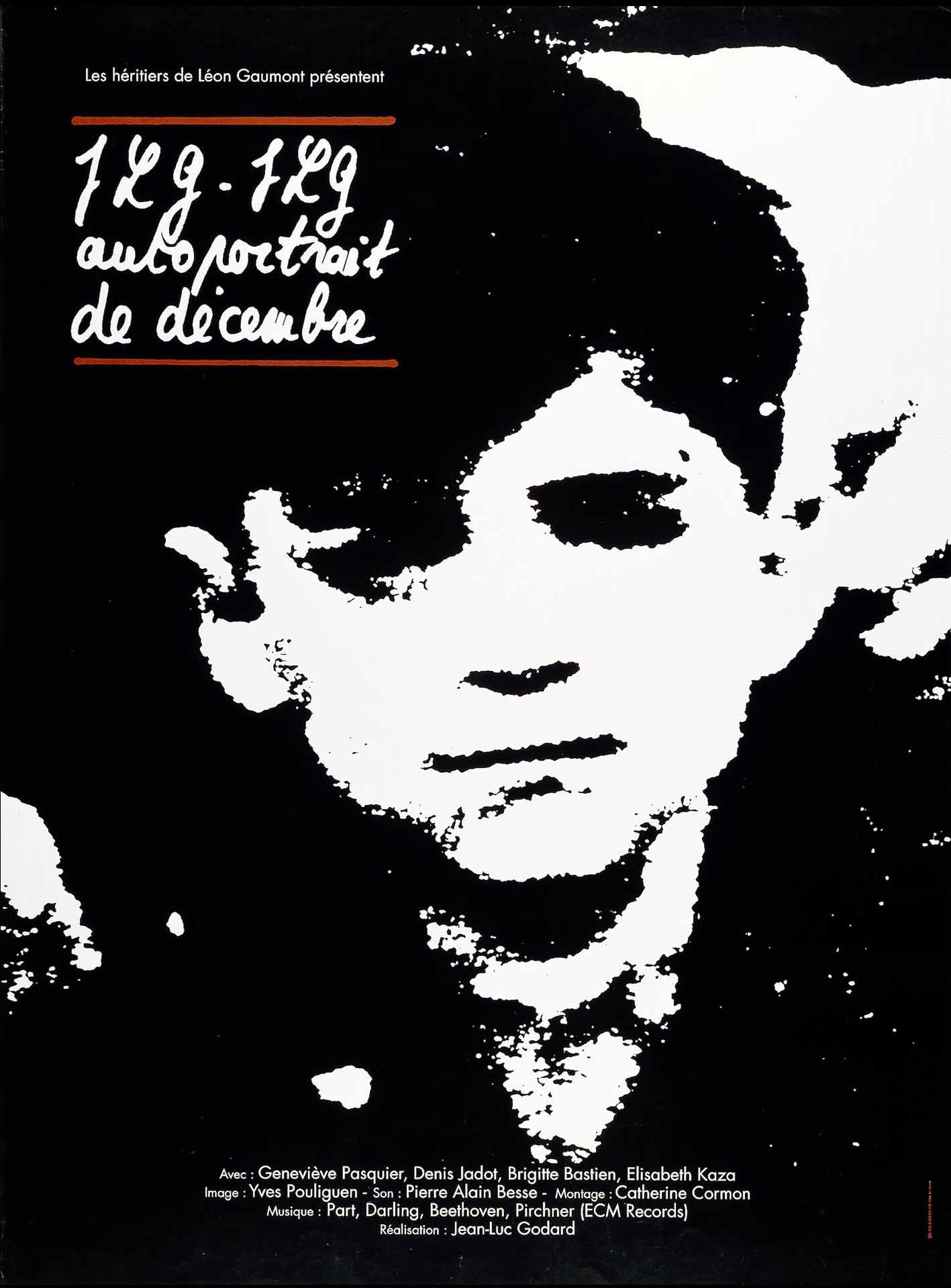 Affiche du film Les Patriotes, 1994