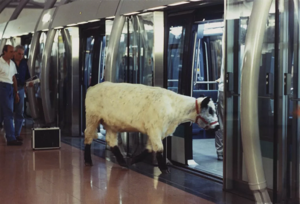 LA VACHE ET LE PRESIDENT - Still