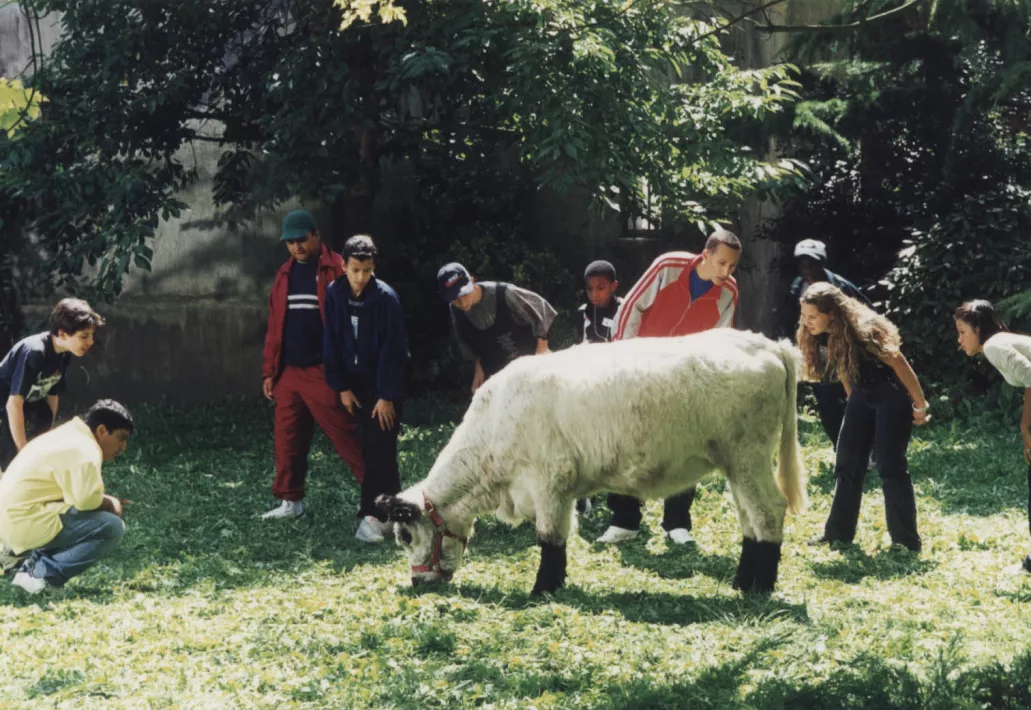 LA VACHE ET LE PRESIDENT - Still