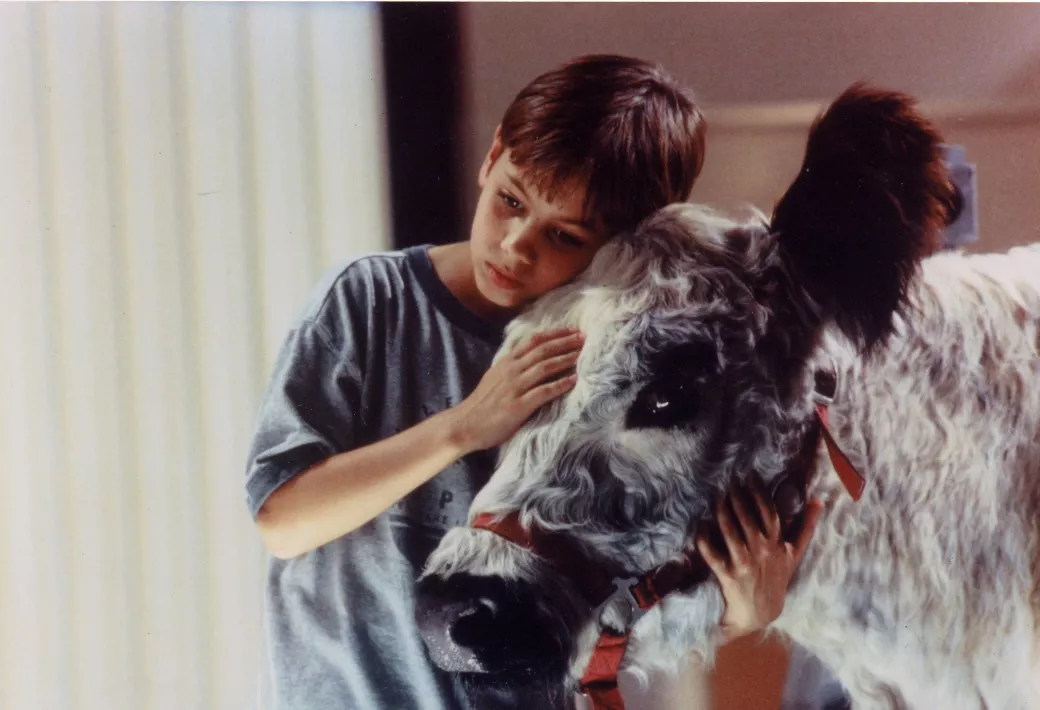 LA VACHE ET LE PRESIDENT - Still