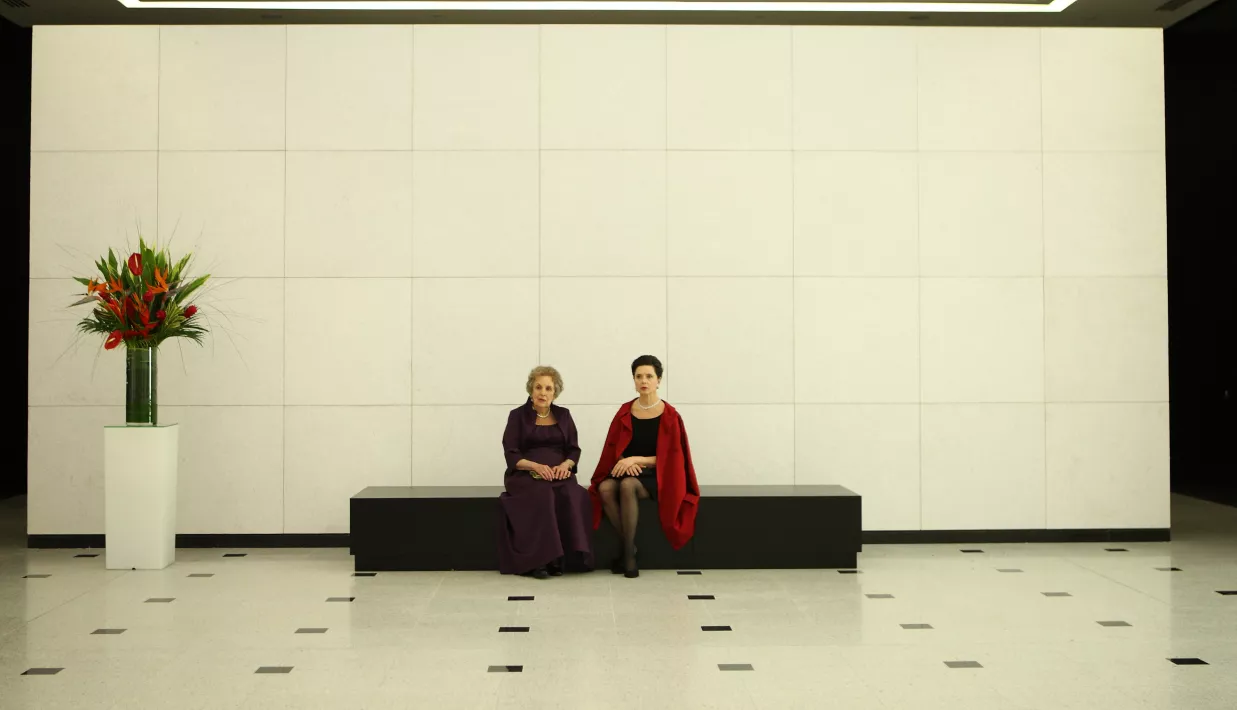 LATE BLOOMERS - Still