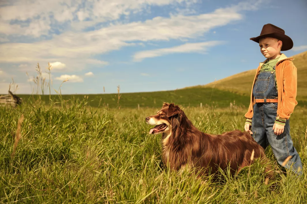 THE YOUNG AND PRODIGIOUS T.S. SPIVET