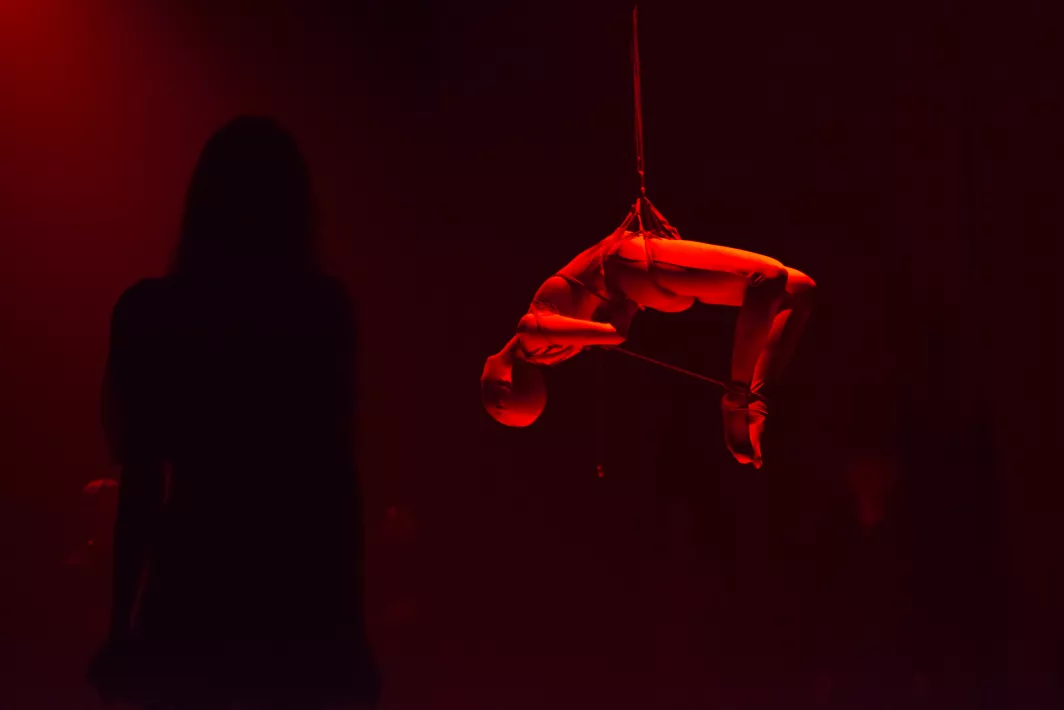 THE NEON DEMON - photo