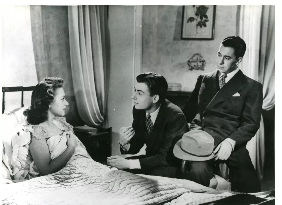 LA FERME AUX LOUPS- photo