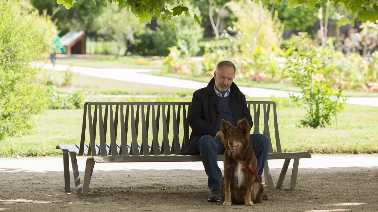 A MAN IN A HURRY - Still