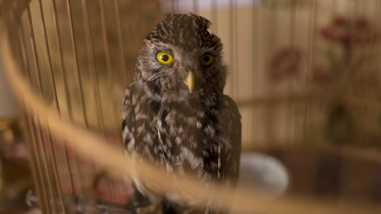 TOMORROW AND THEREAFTER - Still