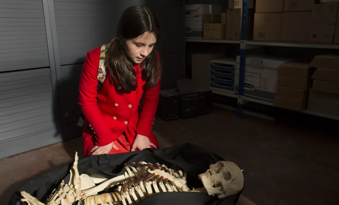 TOMORROW AND THEREAFTER - Still