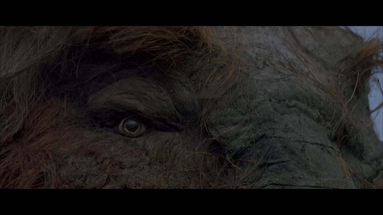 QUEST FOR FIRE - Stills