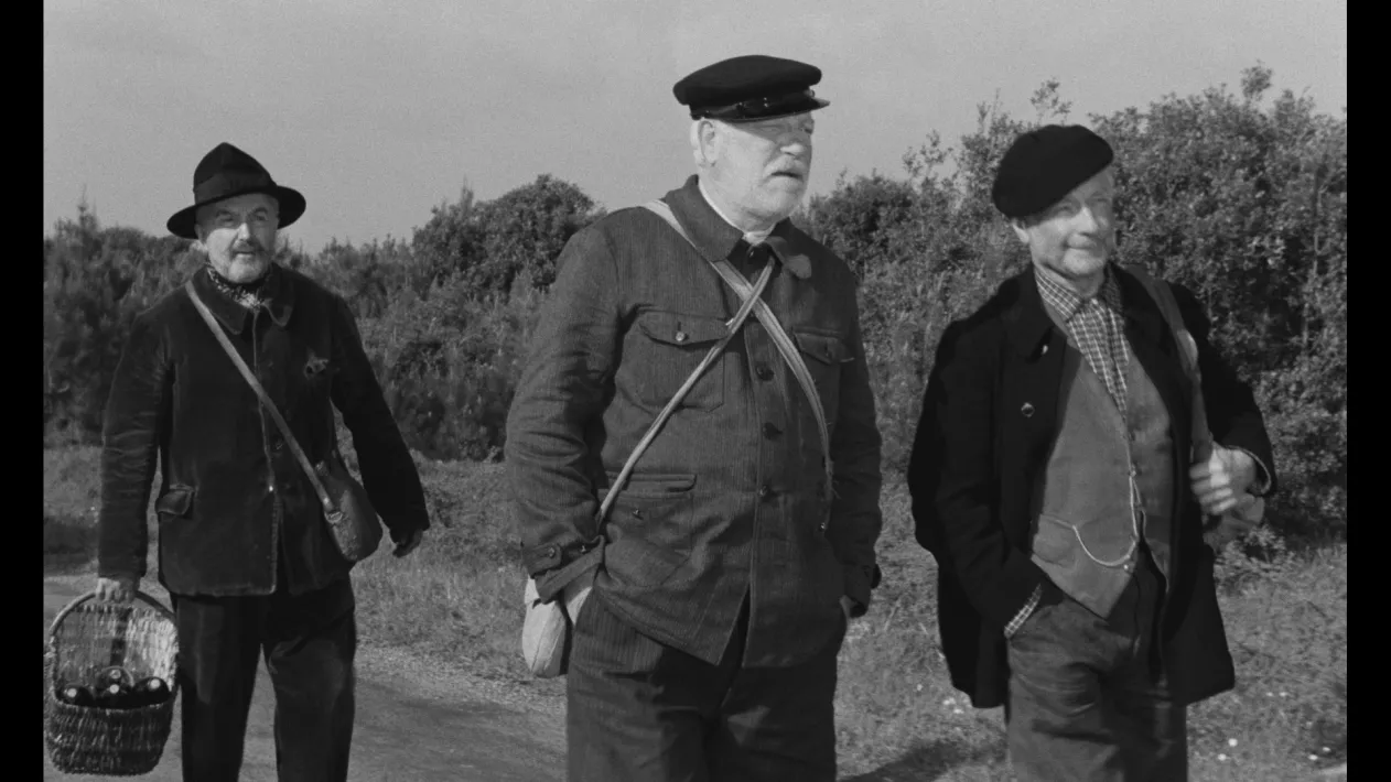 THE OLD GUARD - Still