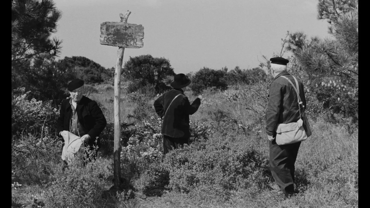 THE OLD GUARD - Still