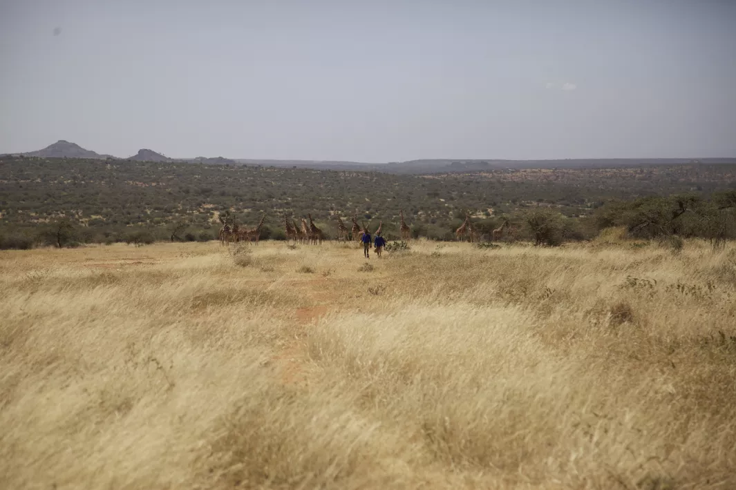 ON THE WAY TO SCHOOL - Stills