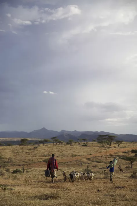 ON THE WAY TO SCHOOL - Stills