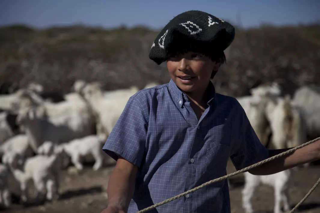 ON THE WAY TO SCHOOL - Stills