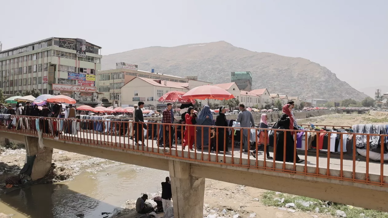 THE WILL TO SEE - Still