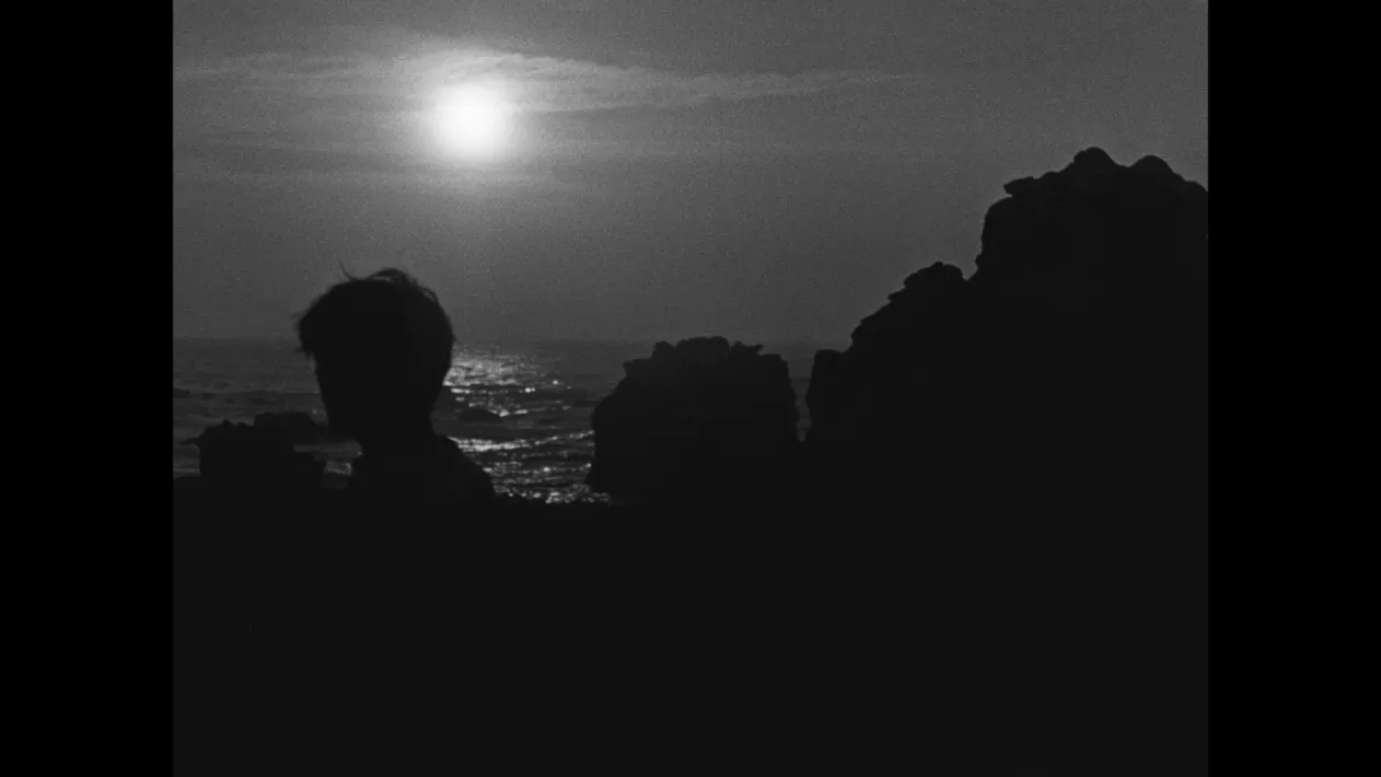 FINIS TERRAE - Still