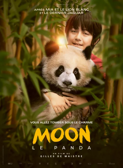 Affiches Moon
