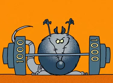 RALF THE RECORD RAT - Mobile