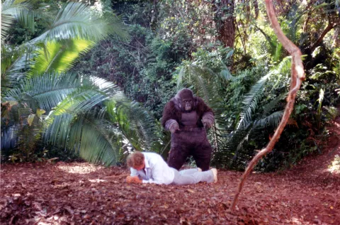 KNOCK ON WOOD - Still