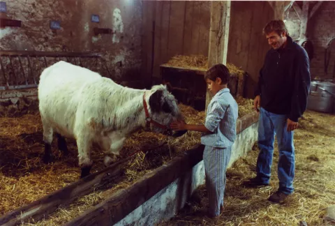 LA VACHE ET LE PRESIDENT - Still