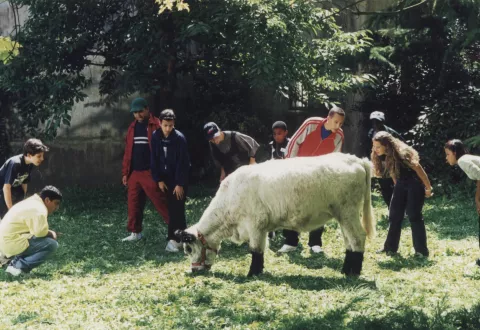 LA VACHE ET LE PRESIDENT - Still