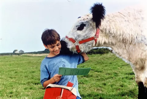 LA VACHE ET LE PRESIDENT - Still