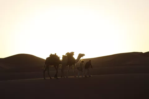 THE LAST FLIGHT - Still