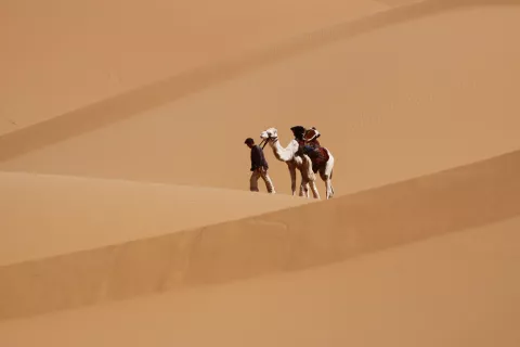 THE LAST FLIGHT - Still