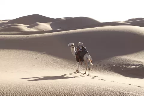 THE LAST FLIGHT - Still