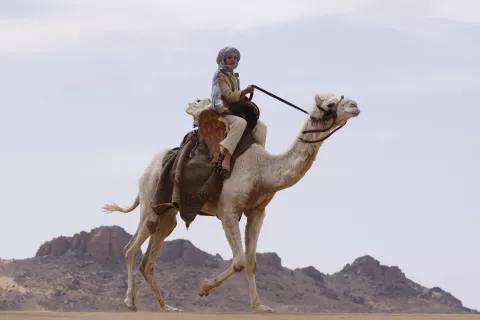 THE LAST FLIGHT - Still