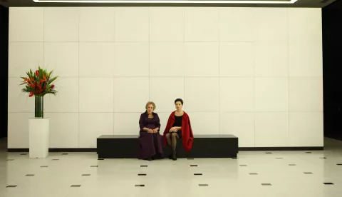 LATE BLOOMERS - Still