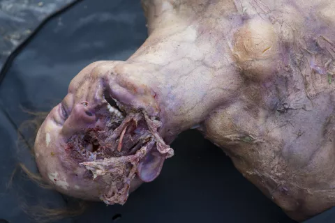 Episode 201 â€œKaisekiâ€