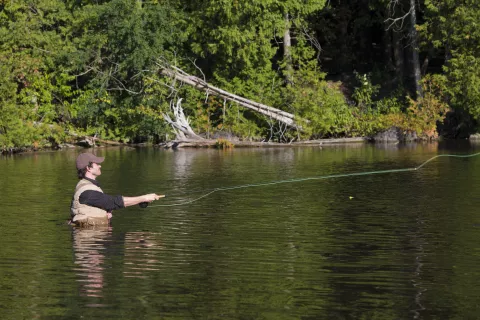 Episode 201 â€œKaisekiâ€