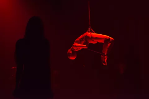 THE NEON DEMON - photo