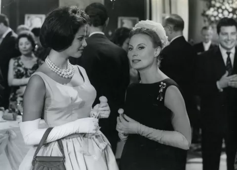 LES LIONS SONT LĂ‚CHES - Photos