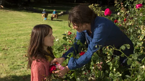 DEMAIN ET TOUS LES AUTRES JOURS - Visuel