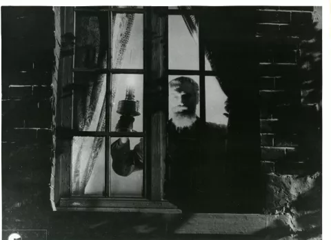 LA FERME AUX LOUPS- photo