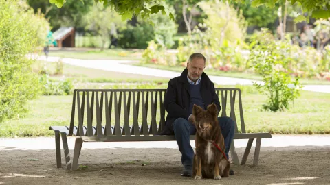 A MAN IN A HURRY - Still