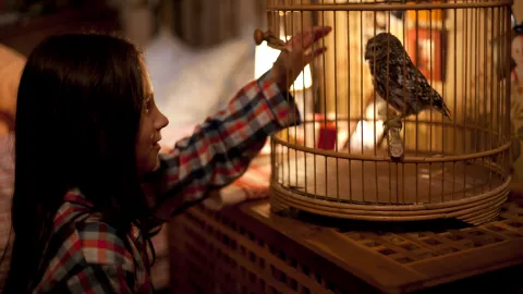 TOMORROW AND THEREAFTER - Still