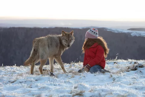 VICKY AND HER MYSTERY - Still