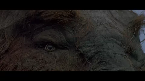 QUEST FOR FIRE - Stills