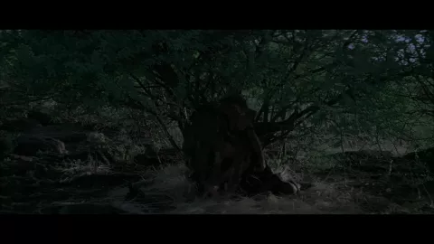 QUEST FOR FIRE - Stills