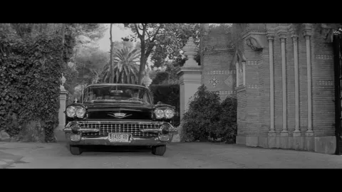 LOVE CAGE - Still