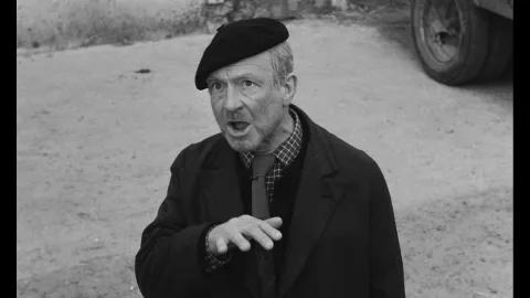 THE OLD GUARD - Still