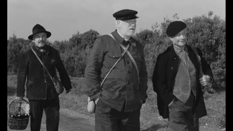 THE OLD GUARD - Still