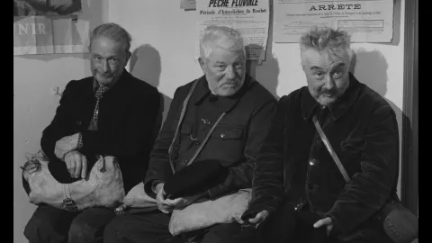 THE OLD GUARD - Still